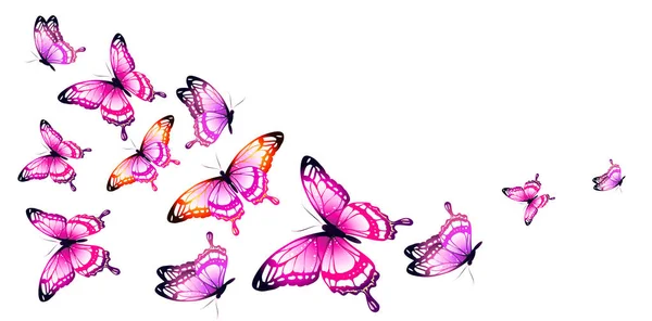 Heldere Kleurrijke Roze Vlinders Geïsoleerd Witte Achtergrond — Stockvector