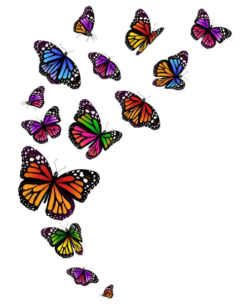 Aantal Heldere Kleurrijke Vlinders Geïsoleerd Witte Achtergrond — Stockfoto