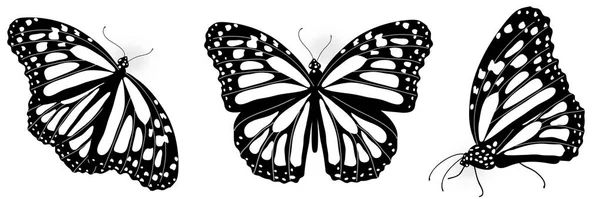 Silueta Negra Mariposas Aisladas Sobre Fondo Blanco — Vector de stock