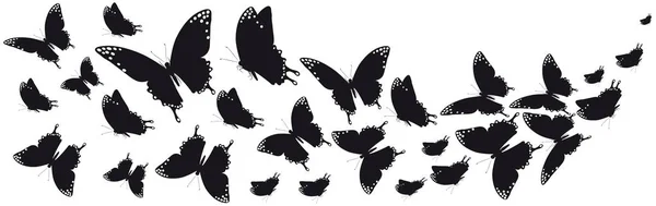 black silhouette of butterflies isolated on white background