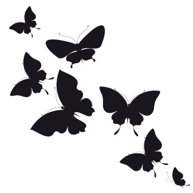 siyah beyaz arka plan üzerinde izole kelebekler silüeti