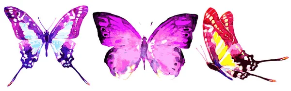 Φωτεινό Ροζ Πολύχρωμες Πεταλούδες Που Απομονώνονται Λευκό Φόντο — Διανυσματικό Αρχείο