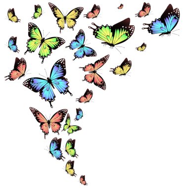 Beyaz arka plan üzerinde izole parlak renkli kelebekler dizi