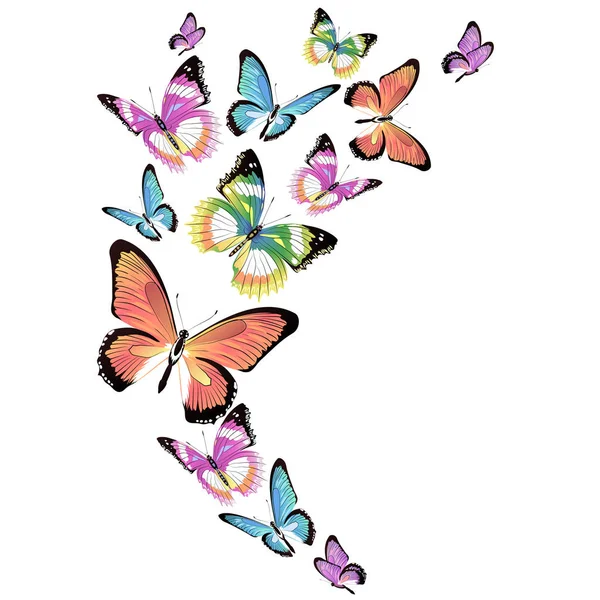Набор Ярких Красочных Бабочек Белом Фоне — стоковое фото