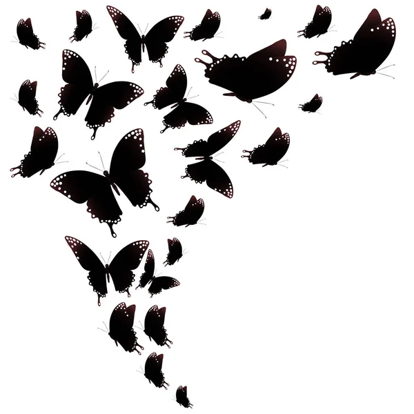 Svart Siluett Fjärilar Isolerad Vit Bakgrund — Stockfoto