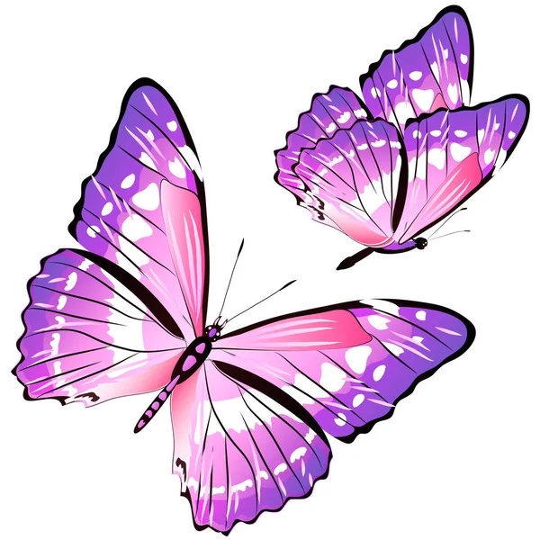 Bright Colorful Pink Butterflies Isolated White Background Stock Photo by  ©aboard 290684420