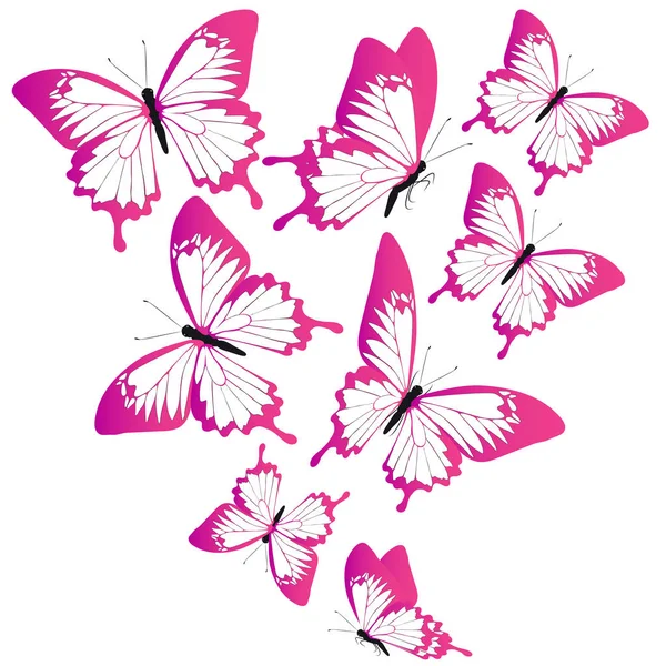 Bright Colorful Pink Butterflies Isolated White Background — Stock Vector