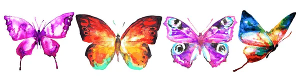 Set Bright Colorful Butterflies Isolated White Background — Stock Photo, Image