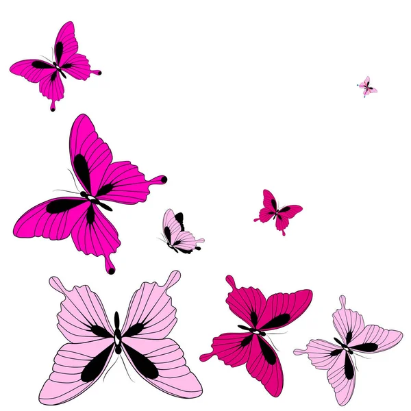 Helle Bunte Rosa Schmetterlinge Isoliert Auf Weißem Hintergrund — Stockfoto