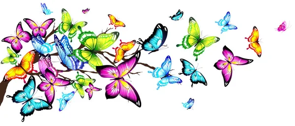 Sada Zářivě Barevné Motýly Izolovaných Bílém Pozadí — Stock fotografie