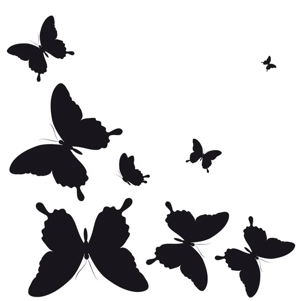Černá Silueta Motýlů Izolovaných Bílém Pozadí — Stockový vektor