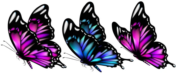 Ensemble Papillons Colorés Lumineux Isolés Sur Fond Blanc — Image vectorielle