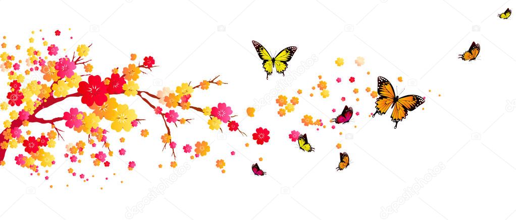Set of bright colorful butterflies isolated on white background