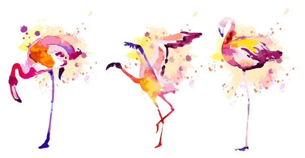 Gyönyörű Akvarell Flamingók Elszigetelt Fehér Háttér — Stock Fotó