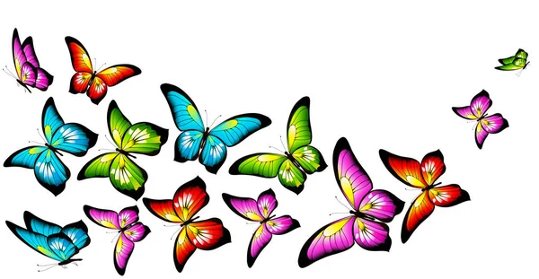 Σύνολο Φωτεινές Πολύχρωμες Πεταλούδες Που Απομονώνονται Λευκό Φόντο — Διανυσματικό Αρχείο