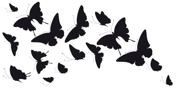 Zwarte Silhouet Van Vlinders Geïsoleerd Witte Achtergrond — Stockvector