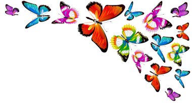 güzel kelebek, suluboya, beyaz izole