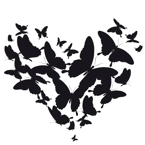 Mariposa Negra Aislada Sobre Blanco —  Fotos de Stock