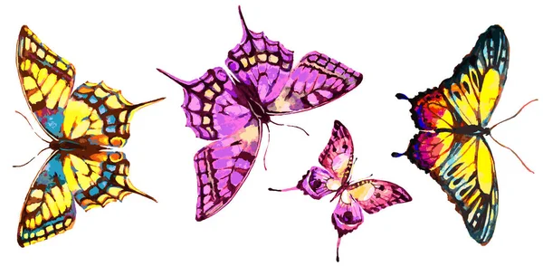Vacker Fjäril Akvarell Isolerad Vit — Stock vektor