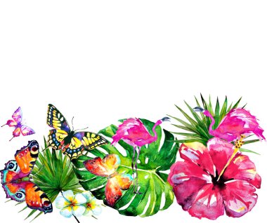 Hawaiian çiçekler, kelebekler, suluboya, egzotik bitkiler, beyaz izole