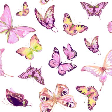 desen güzel renk kelebekler seti