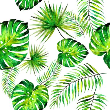 palm leaves pattern, watercolor on a white