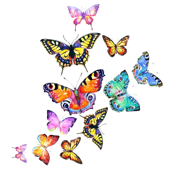 Krásný Motýl Akvarel Izolovaný Bílém — Stock fotografie