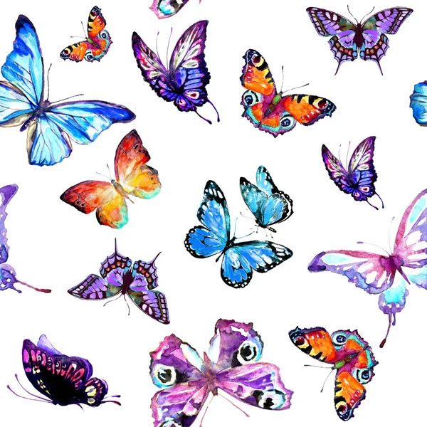 Візерунок Красивий Кольоровий Набір Метеликів — стокове фото