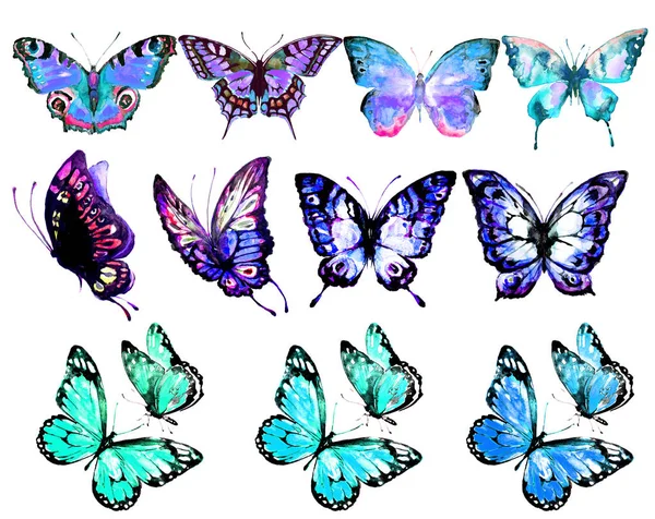 Krásný Barevný Motýl Akvarel Izolovaný Bílém Pozadí — Stock fotografie