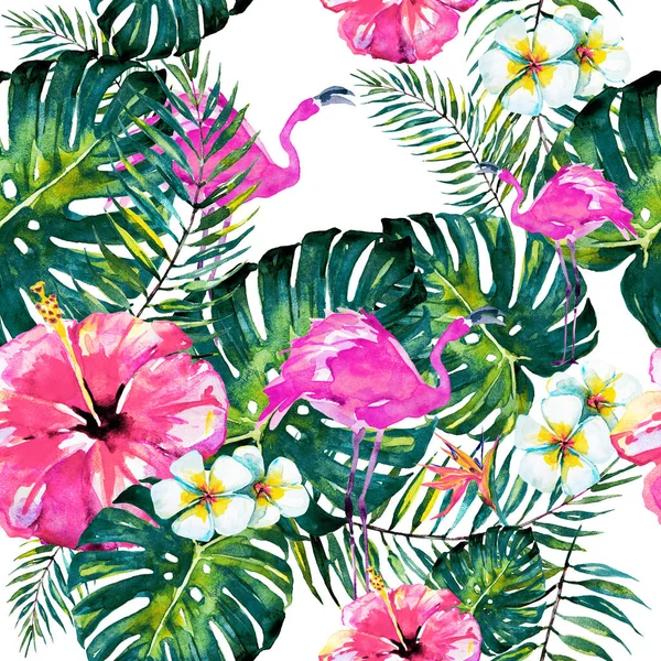 夏威夷花卉 植物和火烈鸟 — 图库照片