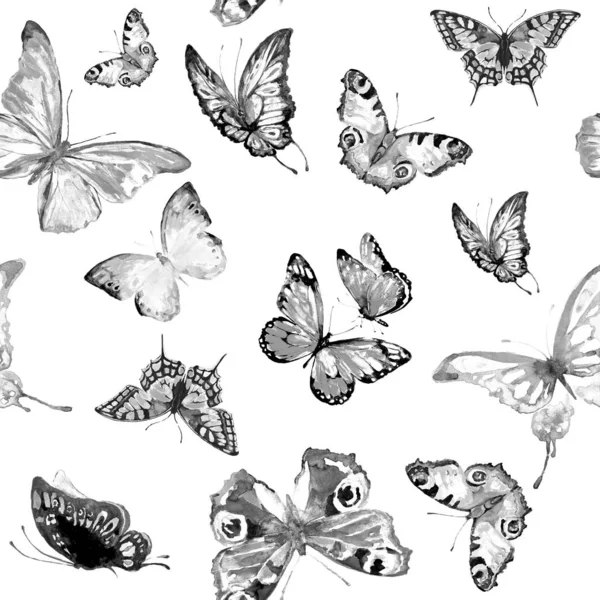 Pattern Beautiful Black Butterflies Set — Stock Photo, Image