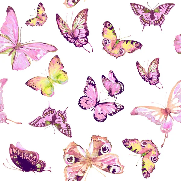 Zestaw Kolor Motyle Piękny Wzór — Zdjęcie stockowe