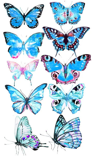 Krásný Modrý Motýl Akvarel Izolované Bílém Pozadí — Stock fotografie