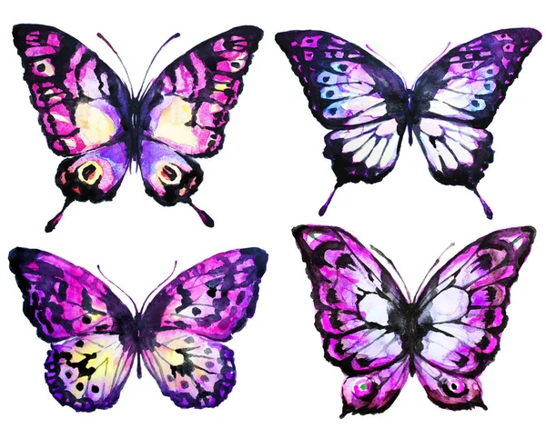 美しい蝶 水彩画 白で隔離 — ストック写真