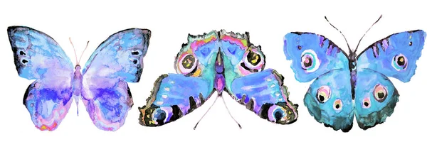 Schöner Schmetterling Aquarell Isoliert Auf Einem Weißen — Stockfoto