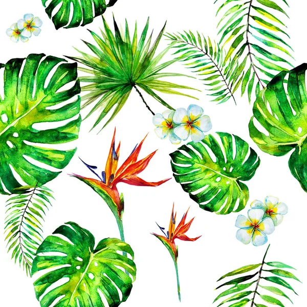 Palm Leaves Pattern Watercolor White — ストック写真