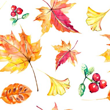 kırmızı sonbahar, sonbahar yaprakları, beyaz suluboya