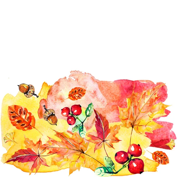 Красная Осень Осенние Листья Акварель Белая — стоковое фото