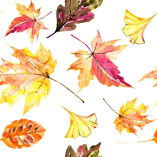 Красная Осень Осенние Листья Акварель Белая — стоковое фото