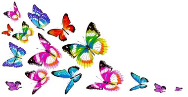 güzel renkli kelebekler, set, beyaz izole