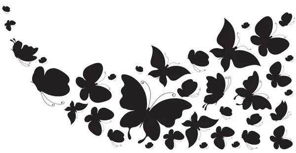 Mariposa Negra Aislada Sobre Blanco — Foto de Stock