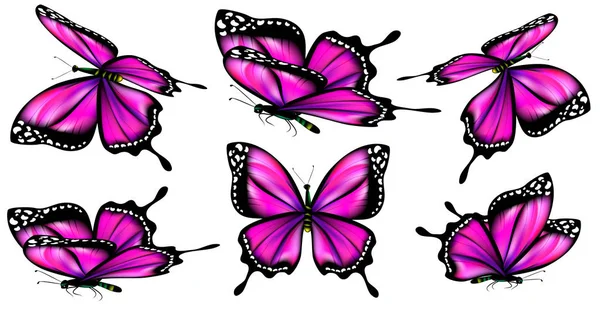 Krásný Růžový Motýli Izolované Bílém — Stockový vektor