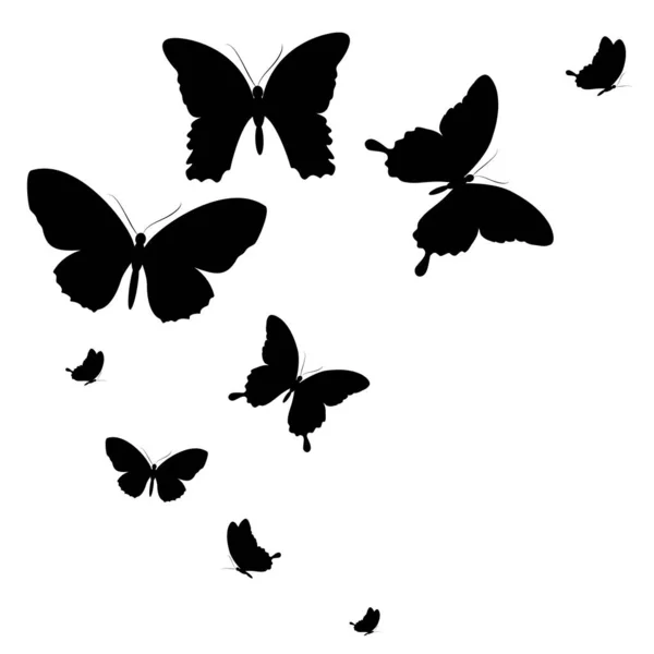 Black Butterfly Isolated White — Stock Vector