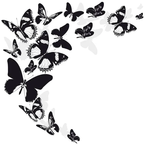 Silhouette Noire Papillons Isolés Sur Fond Blanc — Photo