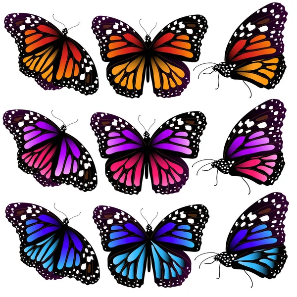 Heldere Kleurrijke Vlinders Geïsoleerd Witte Achtergrond — Stockvector