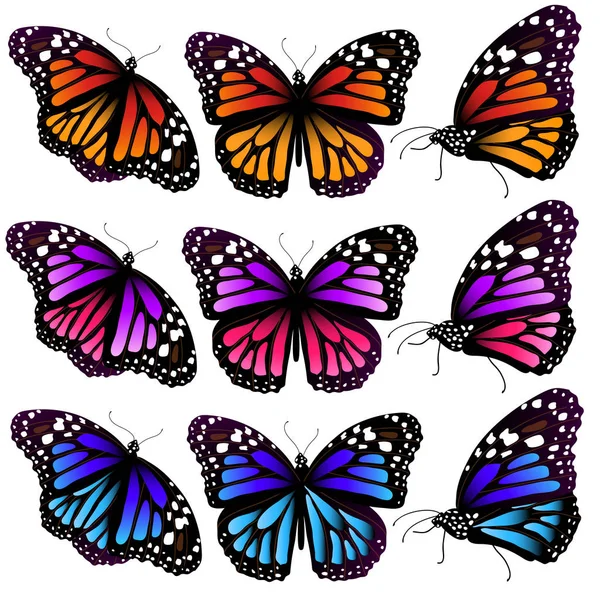 Bright Colorful Butterflies Isolated White Background — Stock Vector