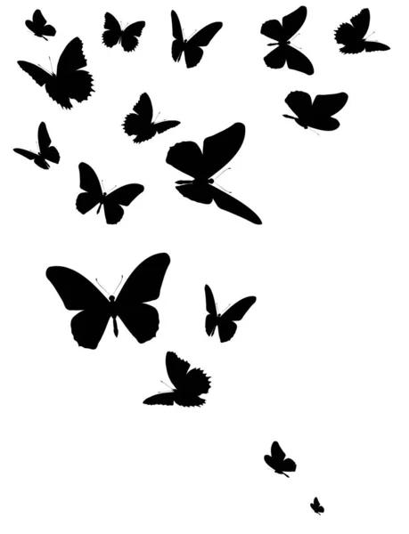 Silhouette Noire Papillons Isolés Sur Fond Blanc — Image vectorielle