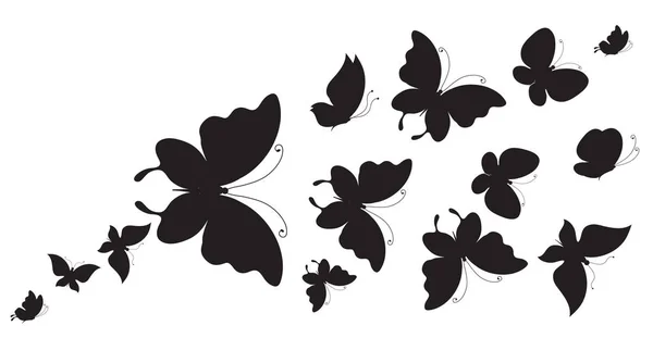 Siyah Beyaz Arka Plan Üzerinde Izole Kelebekler Silüeti — Stok Vektör