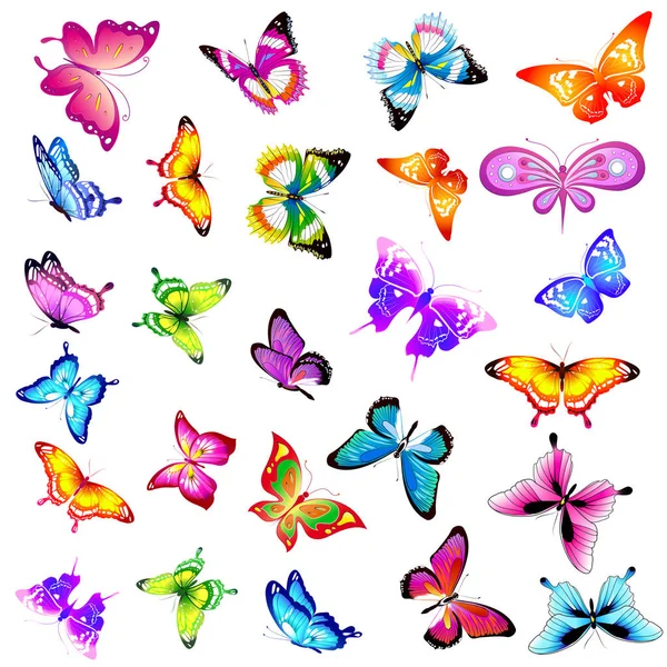 Mariposas Colores Brillantes Aisladas Sobre Fondo Blanco —  Fotos de Stock