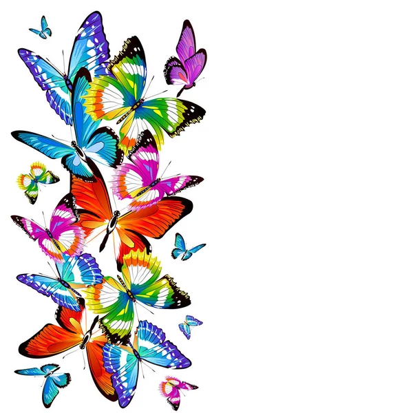 Helle Bunte Schmetterlinge Isoliert Auf Weißem Hintergrund — Stockfoto